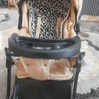 کالسکه بچه|کالسکه و لوازم جانبی|هشتگرد, فاز ۱ مهستان|دیوار