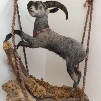 مجسمه خاص و زیبا