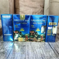 صابون|آرایشی، بهداشتی، درمانی|تربت‌حیدریه, اندیشه|دیوار