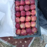 درجه 2 قیمت مناسب