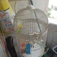 قفس پایه دار پرنده