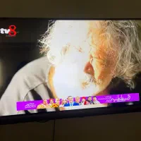 تلویزیون جی پلاس|تلویزیون و پروژکتور|گلبهار, شهر جدید گلبهار|دیوار