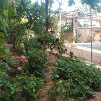 ویلا امن دنج محدود یولاق|اجارهٔ کوتاهمدت ویلا و باغ|ساوه, |دیوار