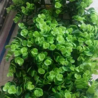 تصفیه اب،اکسیژن. مهتابی وسبزه|ماهی|مشهد, ایثارگران|دیوار