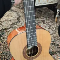 گیتار|گیتار، بیس، امپلیفایر|دامغان, |دیوار