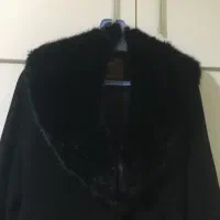 پالتو