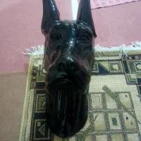 کله سگ دکوری