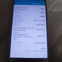 تلفن همراه و طوطی گرینچیک