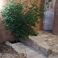 فروش باغ ۱۰۰۰ متری ارزان زیر قیمت واقع در آبپرده.|فروش خانه و ویلا|شیراز, کودیان|دیوار