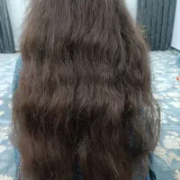 مرکز اصلی مو