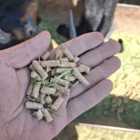 خوراک دام ویژه 15 کیسه