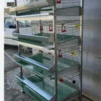 قفسه بلدرچین