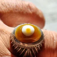 باباقوری کهنه تک چشم|جواهرات|تهران, جمهوری|دیوار