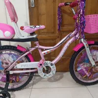 دوچرخه 20و16مارک تایوانی پرادو هوگان