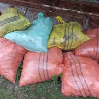 فروش کود حیوانی گاو|خدمات باغبانی و درختکاری|املش, |دیوار