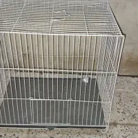 قفس پرنده