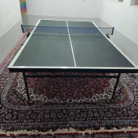 میز تنیس حرفه ای