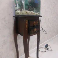 آکواریوم کوچک ۴۰در ۳۰