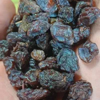 کشمش آفتابی آبگیری|خوردنی و آشامیدنی|ساوه, |دیوار