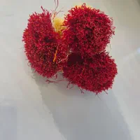 زعفران مرغوب قاینات|خوردنی و آشامیدنی|اصفهان, باغ زرشک|دیوار