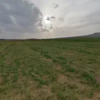 زمین-زراعی-بر-جاده-میم