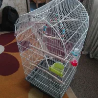 قفس زینتی بزرگ با وسایل کامل توضیحات بخونید