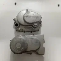 پوسته تیزپرتوس
