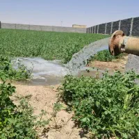 زمین-به-دارای-آب-و-برق-و-آب-آشامیدنی-قیمت-620