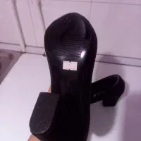 کفش نو|کیف، کفش، کمربند|اردبیل, |دیوار