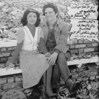 مجموعه کلکسیونی و تاریخی