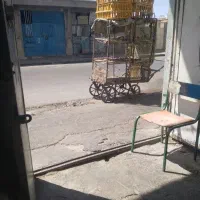 مرغ فروشی حافظ کیلویی۲۷۰هزار