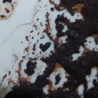 سرنوشت(فال قهوه و تاروت باهم ۱۵۰هزار تومان )