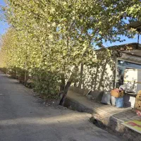 ملک تجاری ۳۶۰ متری|فروش مغازه و غرفه|خمینیشهر, |دیوار