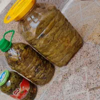 رب گوجه|خوردنی و آشامیدنی|ارومیه, |دیوار