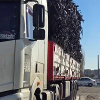 خریدار نوار تیپ مستقیم کارخانه|خدمات باغبانی و درختکاری|اردبیل, |دیوار