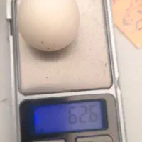 سنگ الماس آسیاب یا مروارید غار بروجردی