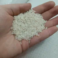 برنج هاشمی سورتینگ زده آستانه اشرفیه|خوردنی و آشامیدنی|تهران, ترمینال غرب|دیوار