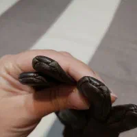 چرم مشهد اصل|لباس|تهران, منیریه|دیوار