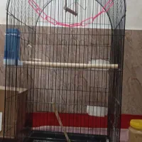 قفس پرندگان بزگ جسته