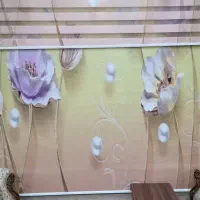 پرده زبرا