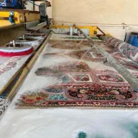 قالیشویی پایدار