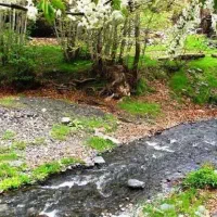 خانه-ویلایی