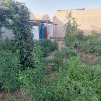 فروش باغ و گلخانه در زرقان|فروش خانه و ویلا|شیراز, احمدی جنوبی|دیوار
