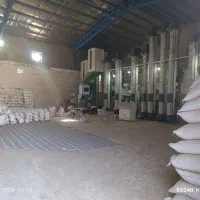 برنج عنبربو(الوان)|خوردنی و آشامیدنی|کوهدشت, |دیوار