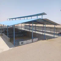 فروش گاوداری