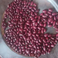 ۳تن لوبیا چیتی  ۳تن لوبیا قرمز کپسولی