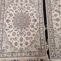 قالی دستباف|فرش|اصفهان, شهرک ولیعصر|دیوار