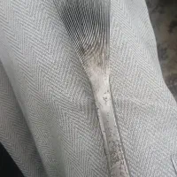 وسایل قالیبافی