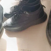 چهار جفت کفش کاملا نو|کیف، کفش، کمربند|پرند, فاز ۵|دیوار