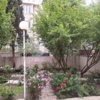 ویلایی-دلباز-وسط-عظیمیه-نورگیر-و-سرسبز